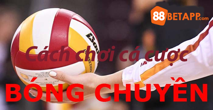 cach-choi-ca-cuoc-bong-chuyen