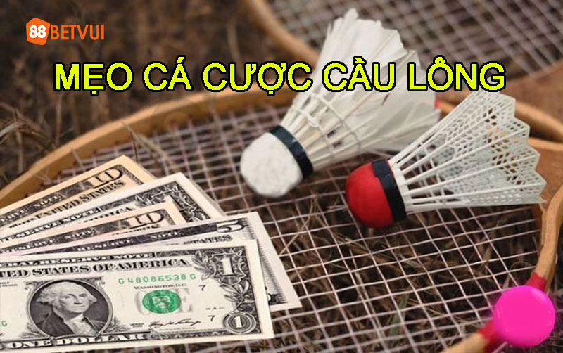 Mẹo cá độ cầu lông