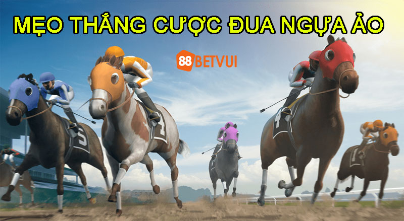 Mẹo thắng cược đua ngựa ảo