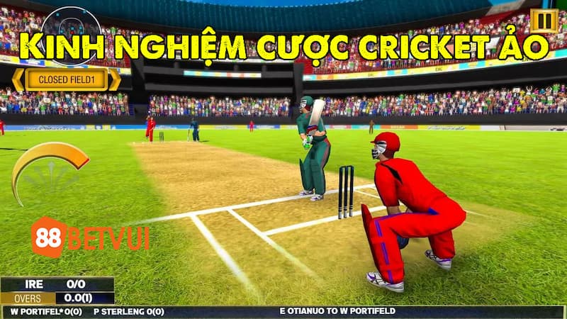 Kinh nghiệm cược Cricket ảo