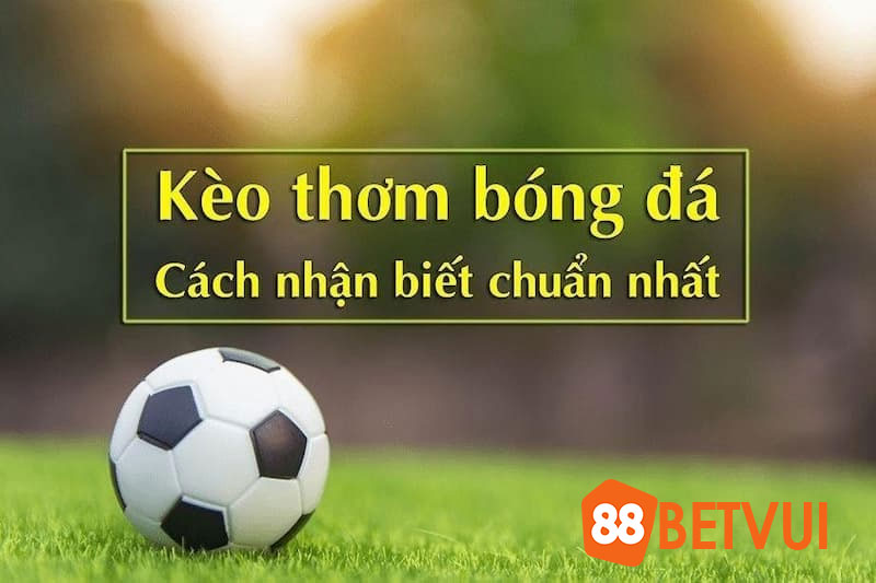 Cách nhận biết chuẩn nhất