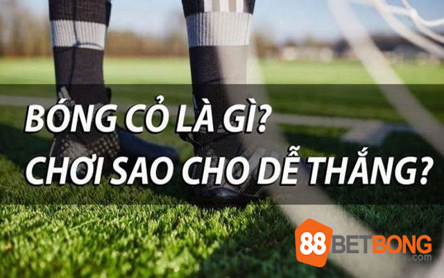 Bóng cỏ