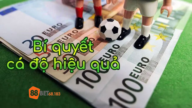 Mẹo cược tài xỉu bóng đá