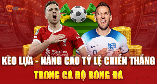 Các bước lựa kèo