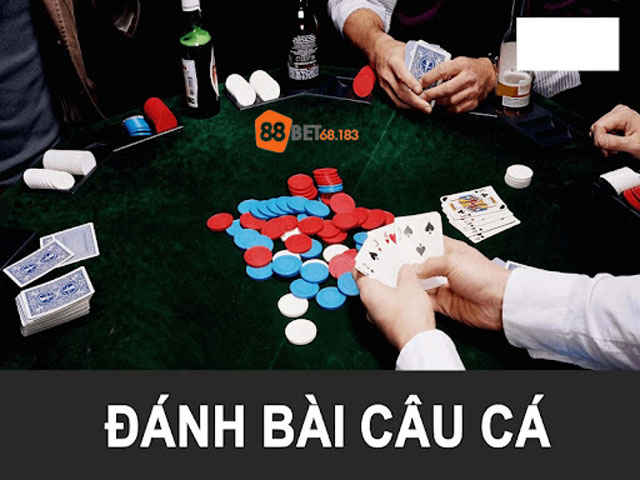 Cách đánh bài câu cá