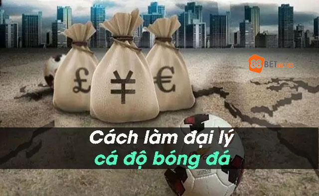 Cách trở thành đại lý cá độ bóng đá