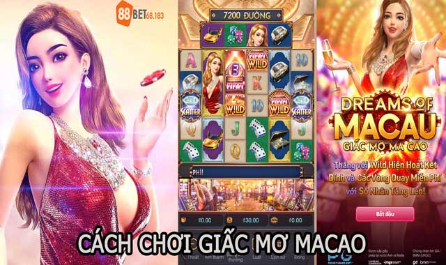 Giấc Mơ Macao