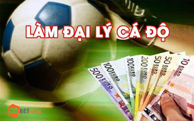 Lưu ý khi làm đại lý cá độ