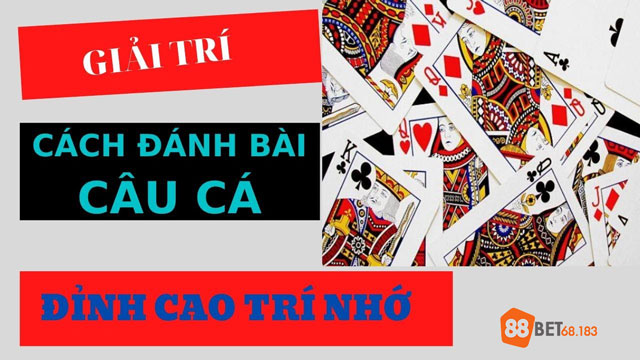 Sức hút của bài câu cá