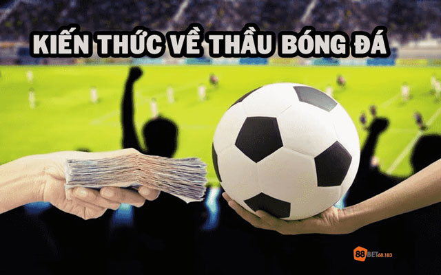 Thầu bóng đá