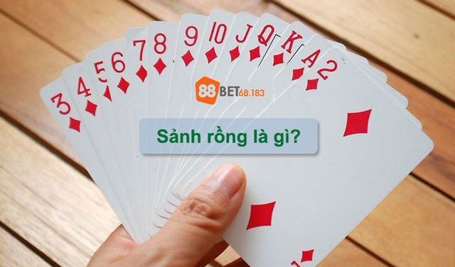 Tìm hiểu sảnh rồng là gì?