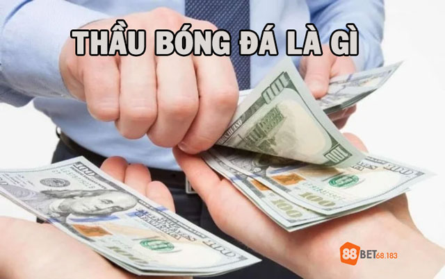 Tìm hiểu thầu bóng đá là gì?