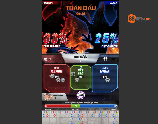 Mẹo để dự đoán chính xác gà chọi thắng